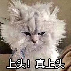 腋臭挺好闻的怎么回事(腋臭闻了有什么危害)