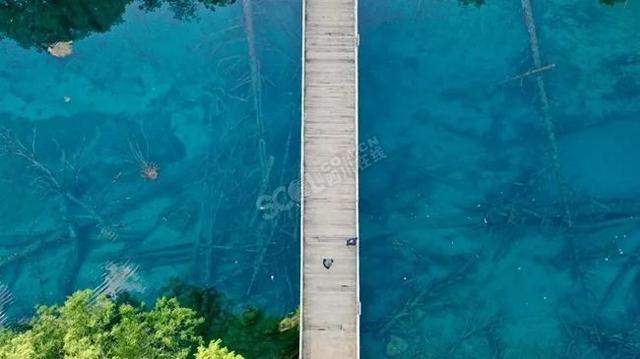 九寨沟官网门票预订，九寨沟开放啦全网购票