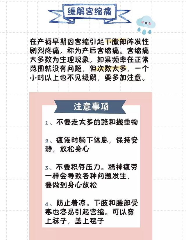 猫的生育常识和技巧，最全的入门级生育指南