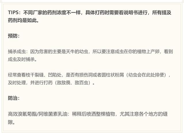 害虫的危害和防治方法，防治蚜虫、粉虱、飞虱最经典的药剂