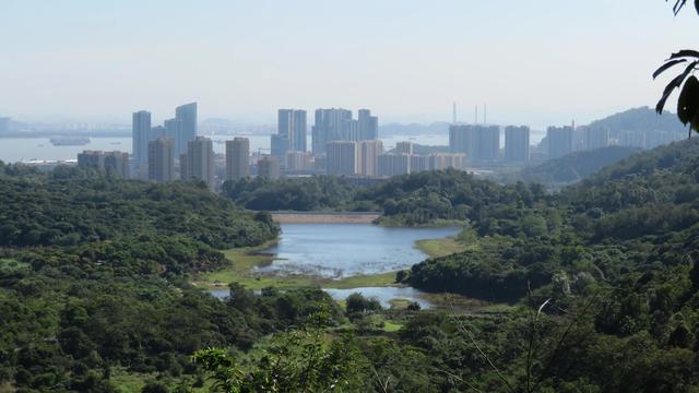 广州南沙湿地公园，广州南沙18涌湿地公园