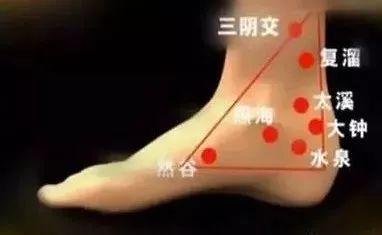 脏器排毒时间表，人体六大器官排毒时间表（器官真的会按照时间表排毒吗）