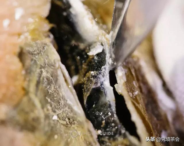 生蚝怎么做才好吃，美味留得住生蚝的9种做法（生蚝还是这样做好吃）