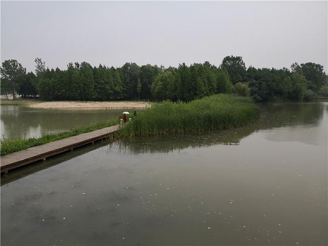泰州溱湖湿地公园，江苏溱湖国家湿地公园（泰州溱湖国家湿地公园）