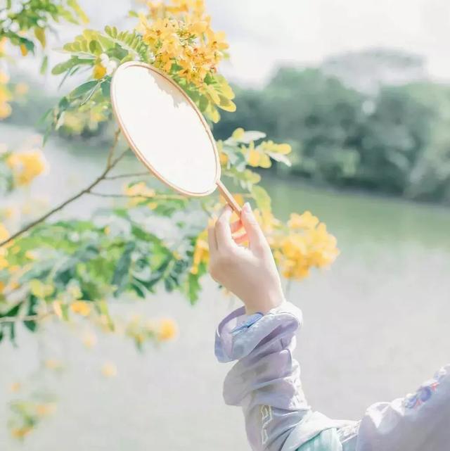 桃花壁纸高清古风，壁纸~古风桃花