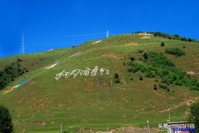 新都桥草原风景，新都桥—塔公草原—雅砻江河谷——迷人的夏季风光