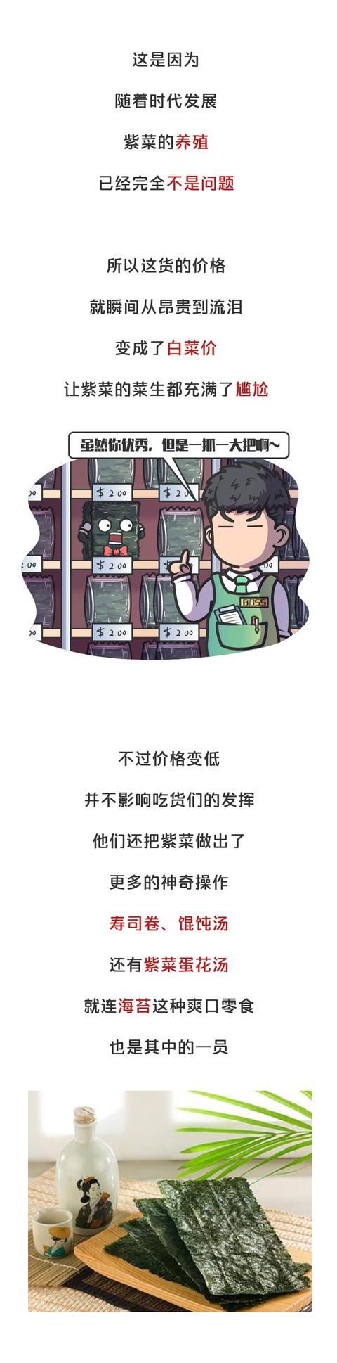 海苔是用什么做的，海苔主要是用什么制作的（海苔、紫菜是同一种食物）