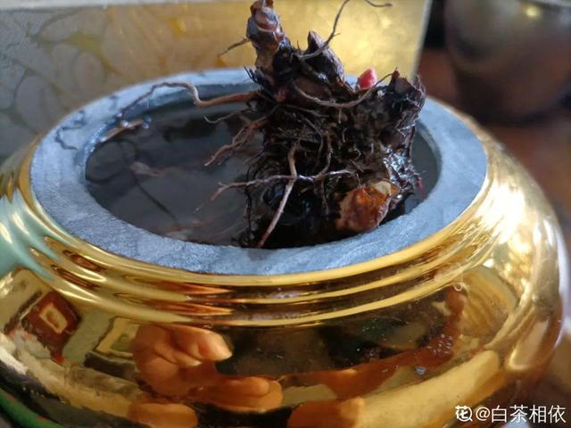 养花换个方法长得更旺，养花小技巧让你从新手到高手