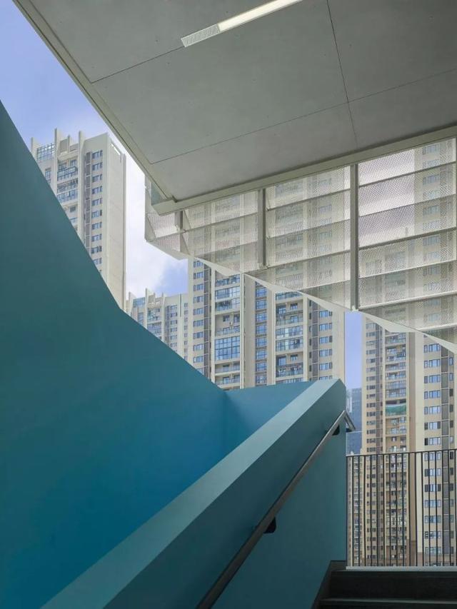 深圳南山外国语学校，深圳外国语学校哪所好（<集团>高级中学二类自主招生专项合格名单及专业合格分数线公示）