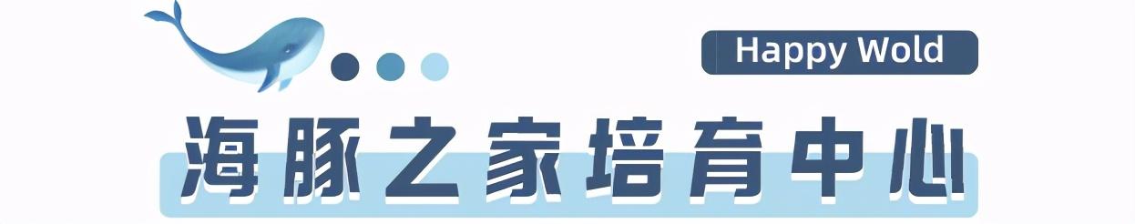 昆明梦幻联邦乐园什么值得玩，昆明周边惊现世界奇迹上的欢乐王国
