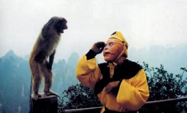 最耍大牌的5位明星，人前大明星人后