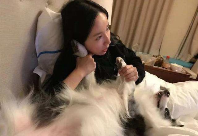 胡一菲娄艺潇是一个人吗，《爱情公寓》14年