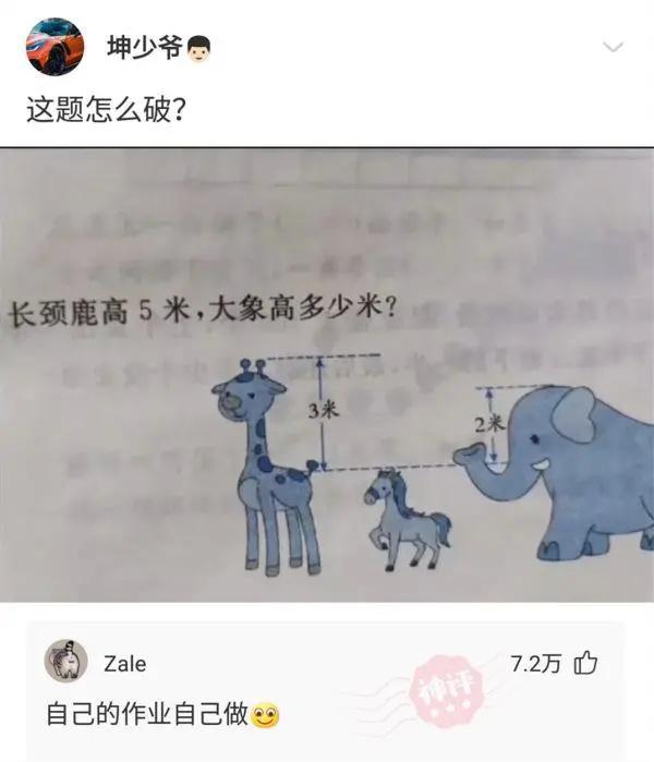 那些年我看到的神回复，有哪些网上很火但你却不懂的梗