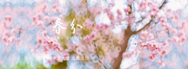 椿花，椿花开放的时节