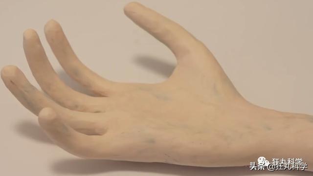 人死后会怎么样，人死后会发生哪些变化（人死后身体会发生什么）