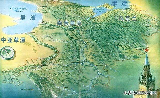 植树造林的意义，关于植树造林的意义及相关知识（植树节的意义）