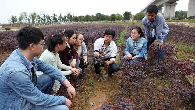 村官考试报名条件，村官报考要具备哪些条件