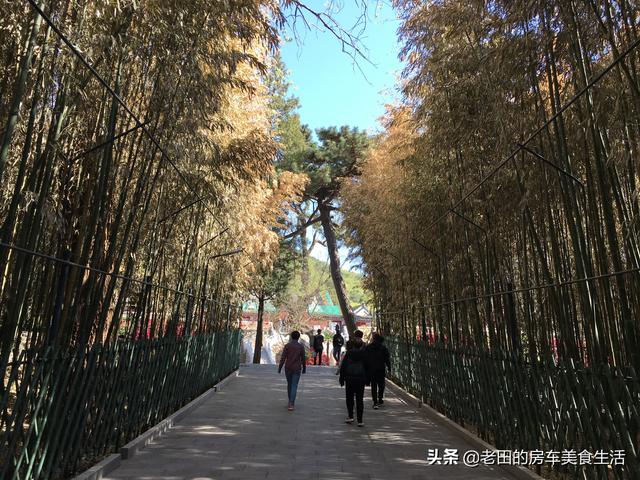 红螺寺求什么最灵验，红螺寺灵验（红螺寺在哪里求什么最灵验）