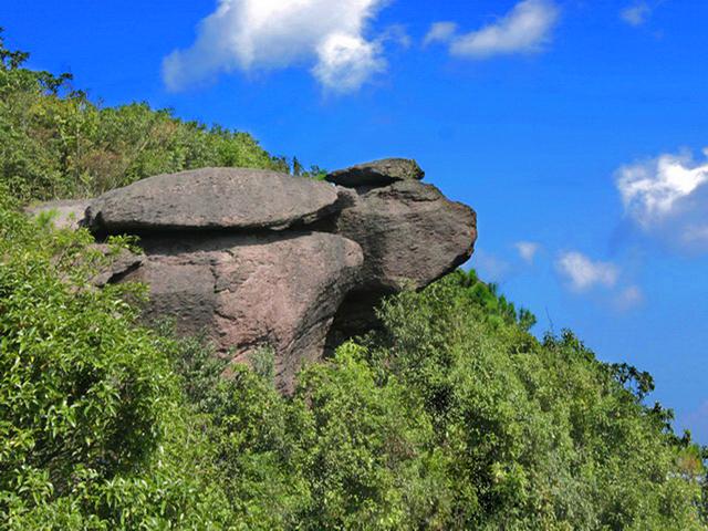 三明市区人口有多少万，福建三明一个县