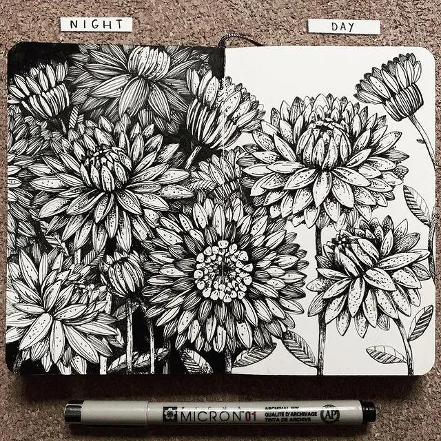 妙笔生花水墨画教程，教科书级别的植物线描