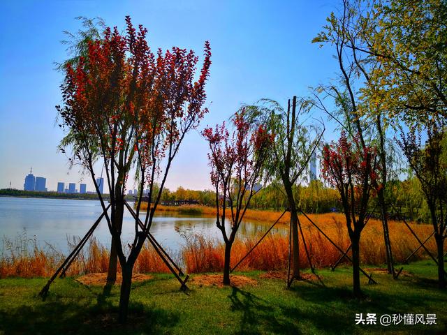 天津免费水又清的沙滩公园，天津中西合璧园林