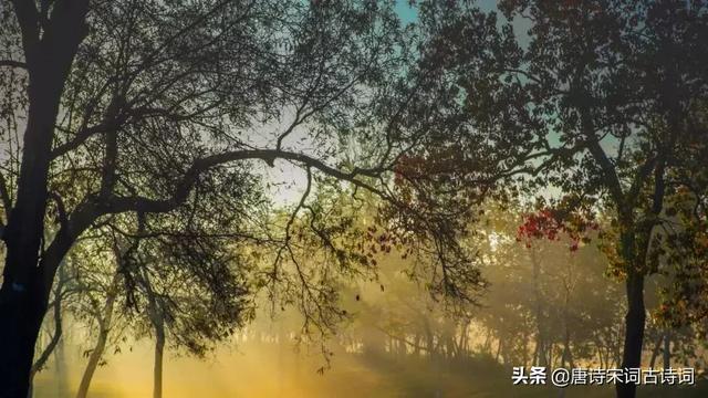 铜官窑瓷器题诗，最著名的十首爱情诗