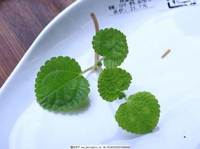 奶茶店草莓奶昔做法，盛夏的绝佳饮品香蕉奶昔