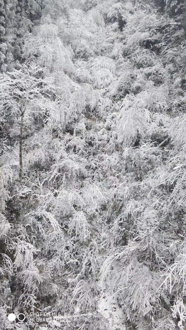 武功山旅游攻略，武功山旅游攻略一日游（江西武功山\u0026仙凤三宝亲子游记）