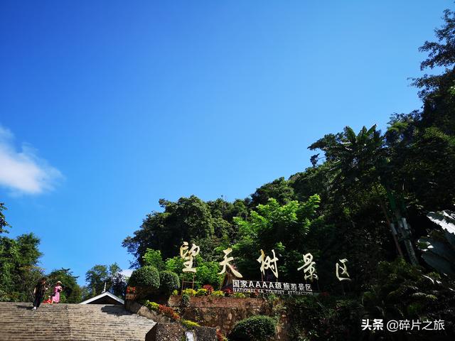 这个夏天总要来一趟西双版纳，追寻自然的呼吸