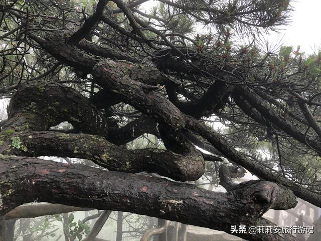 徒步南迦巴瓦峰最佳观景台，雾中徒步薄刀峰