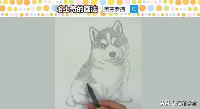 一步一步教画素描小奶狗简单，这些狗狗素描画得栩栩如生