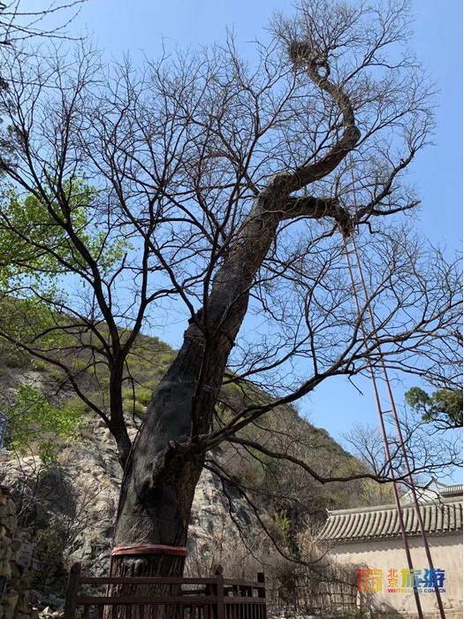 门头沟旅游景点大全，门头沟旅游攻略及景点介绍（门头沟16家景区游玩、服务电话全攻略）