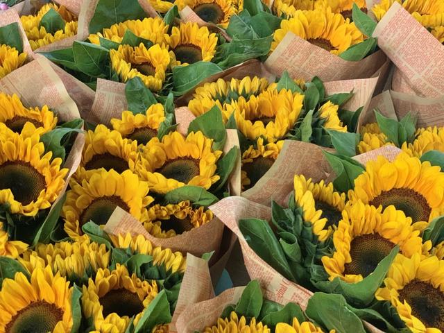 昆明最大的鲜花市场叫什么名字，昆明最受欢迎的2大花市