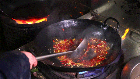 黑龙潭鲶鱼王，电工都搞不定的鲶鱼王