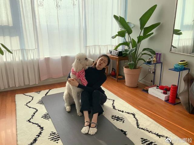 张娜拉如今在韩国现状，张娜拉现在做什么事业