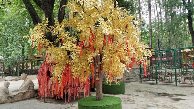 保定虎山风景区，曲阳县虎山旅游景点（欢乐、刺激、收获满满）