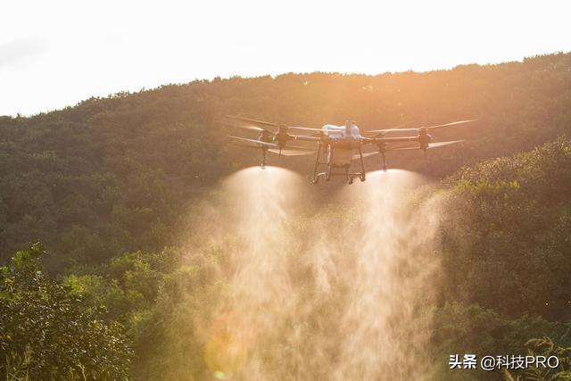 大疆植保无人机，大疆t40植保无人机高级校准（植保无人机在防治柑橘害虫中的应用研究）