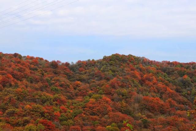 石门山森林公园，旬邑县石门森林公园景区介绍（石门国家森林公园恢复开放）