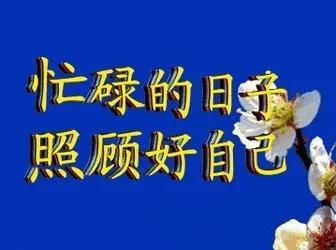 表示欢迎的表情包，中老年人专用表情包欢迎（表情包：恭贺大家，喜迎周末）