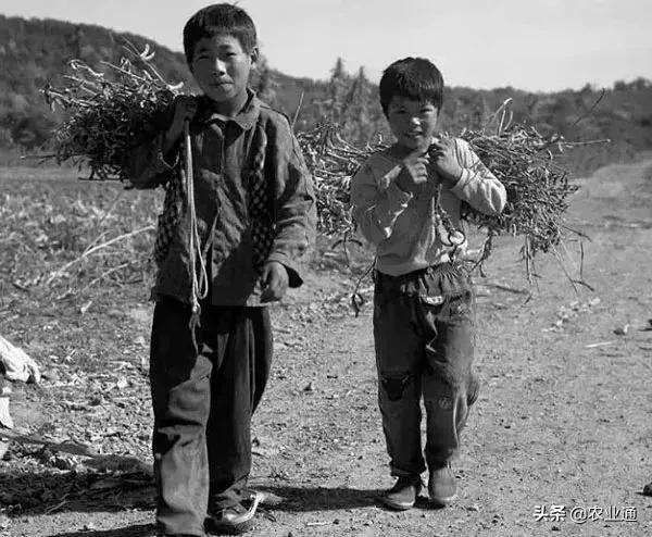 老歌经典大全80年代，盘点80年代经典老歌（80年代的那些老歌）