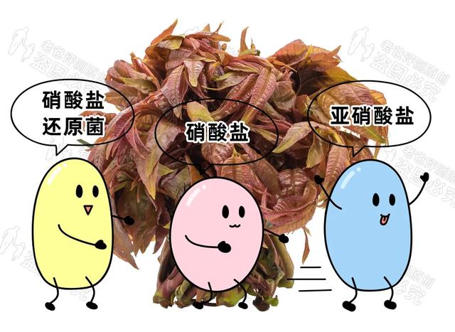 老人吃香椿炒鸡蛋进icu，老人吃香椿炒蛋中毒