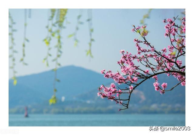 桃花潭水深千尺，桃花潭水何处寻（每日一诗：桃花潭水深千尺）