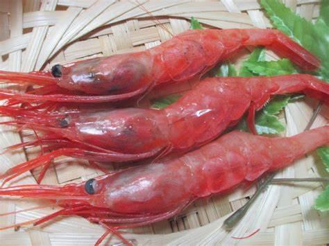 日式料理虾刺身，日本有名的刺身，你喜欢哪一个