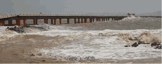 世界最长的三大跨海大桥，世界最长跨海公铁大桥什么样