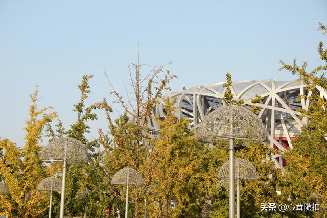 奥林匹克大道公园，奥林匹克公园美景图（小岛土著都不一定了解哦）