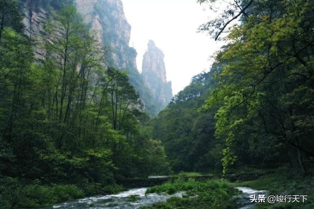 阿凡达拍摄地张家界的什么地方，“取景产业”，城市新动能