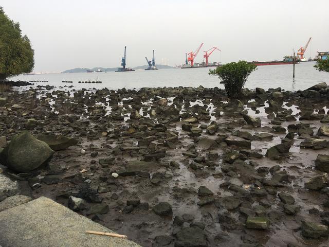 广州哪里可以看海，广州旅游看海的地方（广州这些“无敌海景”碧道藏不住了）