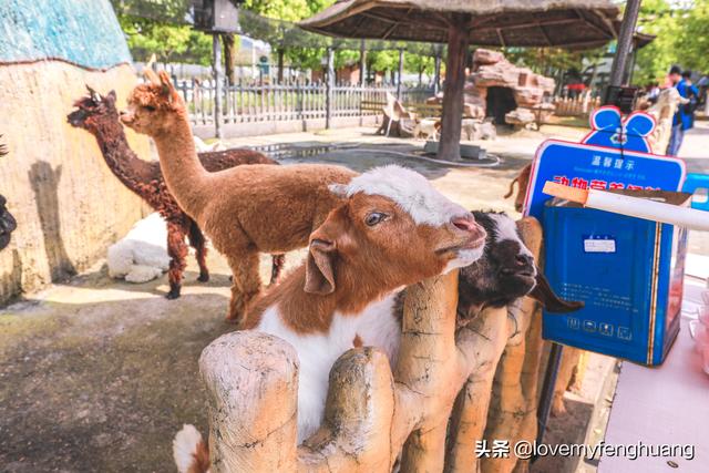 安吉旅游必去的景点，安吉旅游攻略必去景点推荐