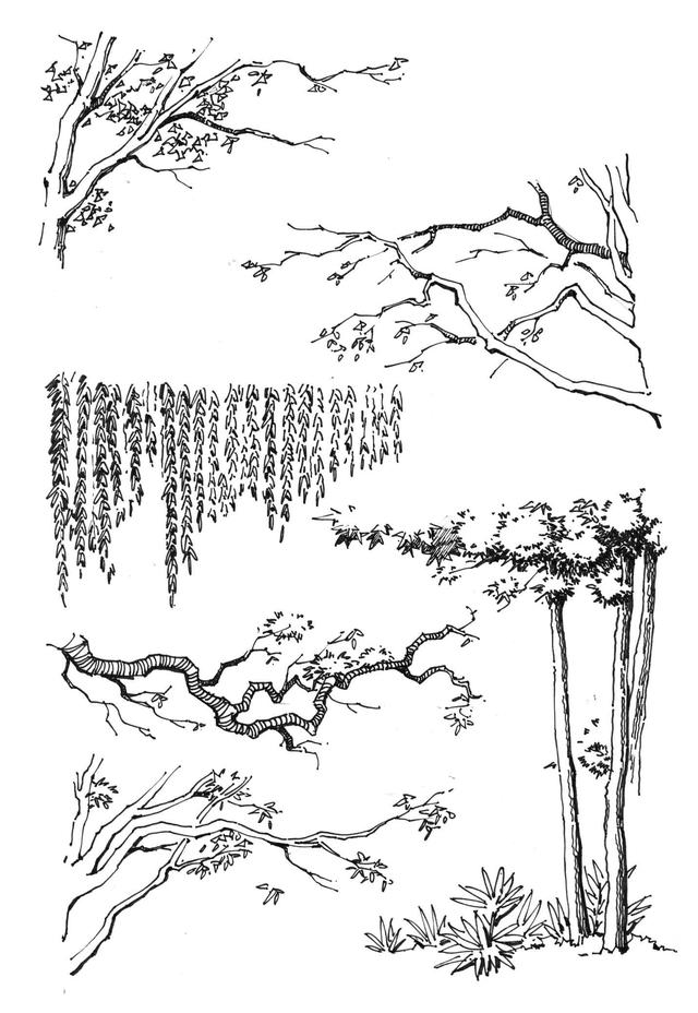 40种画树简易画法，树的手绘很难画