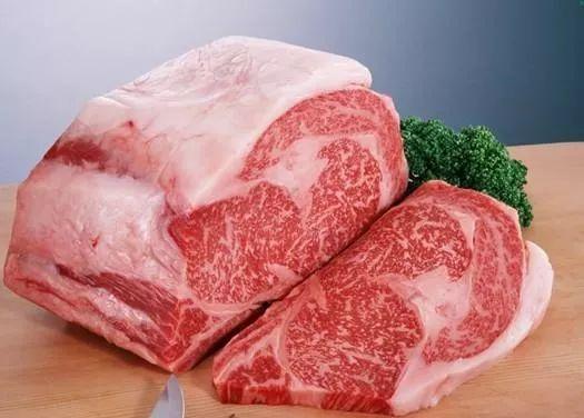 猫咪能吃海苔吗，养猫时什么食物不能吃（猫咪不能吃的10种常见食物大公开）